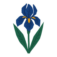 Fototapeta premium PNG Vibrant iris flower illustration