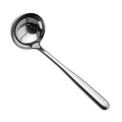 Stainless steel ladle
