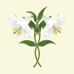 Elegant White Lilies Symmetrical Floral Design