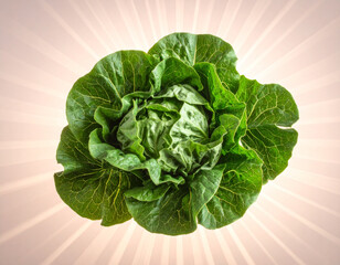 A vibrant green head of fresh lettuce is centered on a light peach background with radiating white light rays, viewed from above.