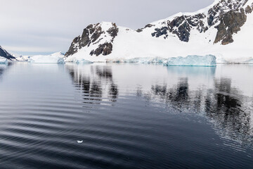 Icebergs and Glaciers align the coast of the Antarctic peninsula, and its many islands. A very tranquil sea reflects the early morning light in the Gerlache strait.