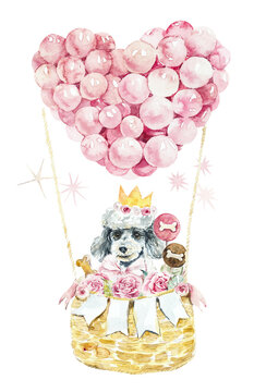 Dog Party. Grey Poddle in pink heart baloons. Portrait dog. Watercolor hand drawn illustration