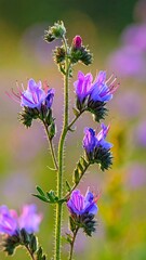 A close-up photo of a purple flower with a blurred background