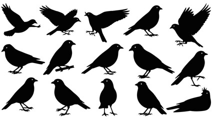 Obraz premium Collection of black bird silhouettes in various poses
