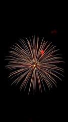 Obraz premium Vibrant fireworks display illuminating the night sky