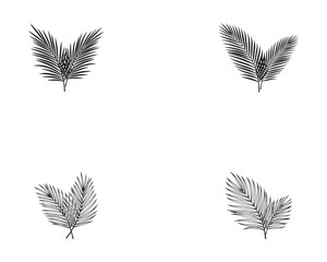 Obraz premium Black Silhouette of Tropical Palm Leaf Isolated on White Background