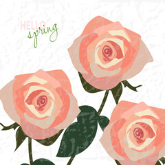 Spring season using dusty pink roses with a minted paper effect for banner designs