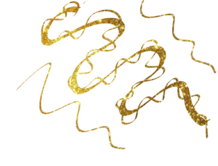 Minimal Luxury Gold Foil Line Element