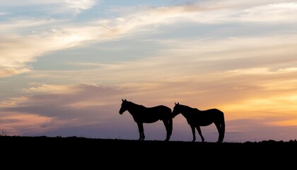 夜明けの空に並ぶ二頭の馬のシルエット