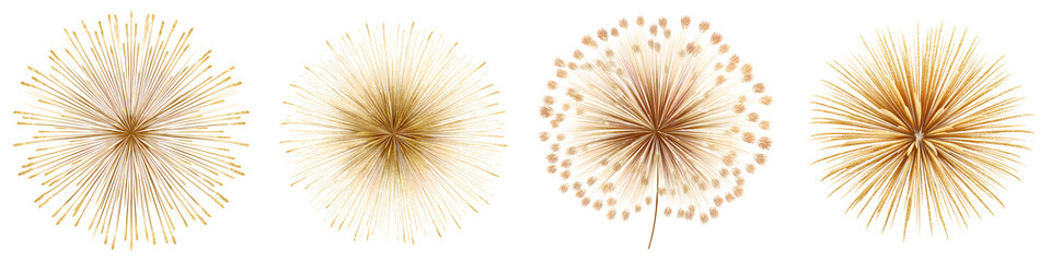 Naklejka premium Golden Dandelion Seed Head Collection - Abstract
