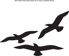 Fototapeta premium flying birds vector illustration