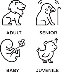 Obraz premium Animal age classification line icons showing baby, juvenile, adult, senior stages using symbolic forms, clean outline vector on white background.