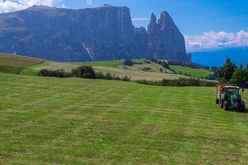 Green meadow with tractor below imposing Sciliar mountain cliffs and peaks. South Tyrol, Italy