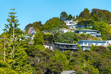 Fototapeta premium Housing in the Town of Paihia - New Zealand