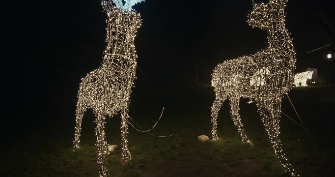 Illuminated wireframe deer sculptures stand outdoors during a night light exhibition at Trkoscan Dvorac Svjetla.