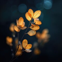 Golden leaves illuminated on a dark, bokeh-filled backdrop