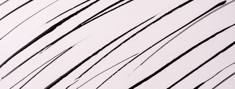 Black acrylic paint brush strokes on white background with thin hand drawn Abstract art lines backdrop
