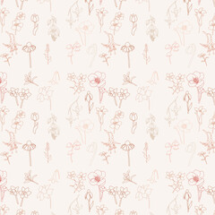 Pattern con fiori misti, contorno, su sfondo crema