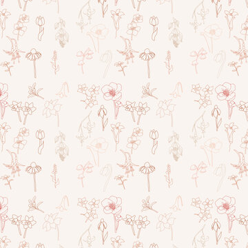 Pattern con fiori misti, contorno, su sfondo crema