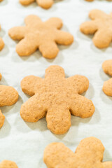 Step by step preparation of Amber Gingerbread Cookies from dough to delicious holiday treats
