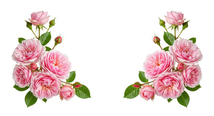 Beautiful arrangement of pink roses with lush green leaves, showcasing vibrant blooms and delicate petals, perfect for floral design and decoration. Isolated on transparent background
