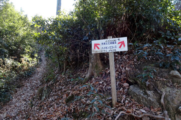 日本：頂上への二つのコース【石尊山～官ノ倉山ハイキングコース】埼玉県小川町