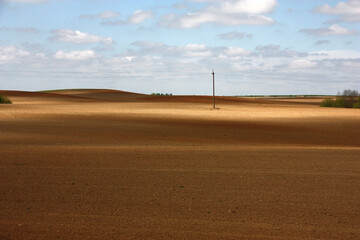 Sunny spring day. In the sky white clouds. The extensive processed fields in spots of light and...