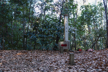 日本：石尊山～官ノ倉山ハイキングコース／埼玉県小川町
