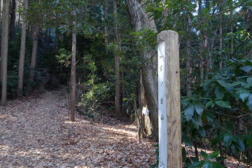 日本：石尊山～官ノ倉山ハイキングコース／埼玉県小川町