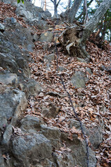 日本：鎖場【石尊山～官ノ倉山ハイキングコース】埼玉県小川町