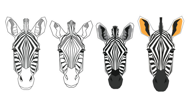 Collection of four zebra heads shown in different artistic styles from simple outlines to detailed colored versions.