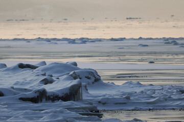 ice composition created by sea waves on the beach