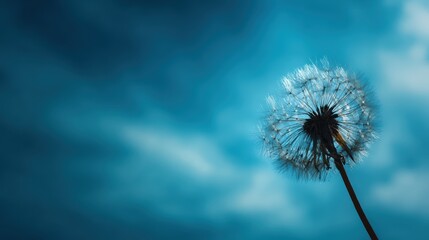 Fototapeta premium Artistic silhouette of a dandelion puff floating against a vibrant blue sky, expressing future goals and aspiration as nature inspired symbolism for personal growth, hope, and new possibilities.