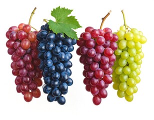 Four bunches of grapes, varying in color from red to purple to green, are presented on a white background