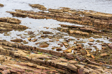 Rocky coastline geology with tide pools and seaweed in Scotland