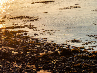 Golden hour light reflecting on calm coastal water