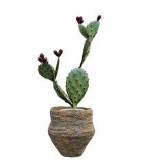 cactus has a flower in a brown pot
