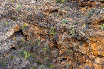 Barranco del Rey gorge, near Roque del Conde mountain. Tenerife, Canary Islands.
