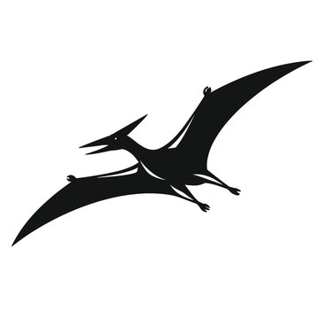 Silhouette of flying pterodactyl prehistoric reptile