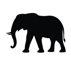 Silhouette of Elephant Walking Animal