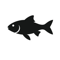 Silhouette of fish on white background