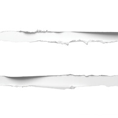 A torn paper background with ripped edges on transparent background