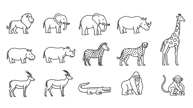 African Safari Animals Collection - Line Art Icons