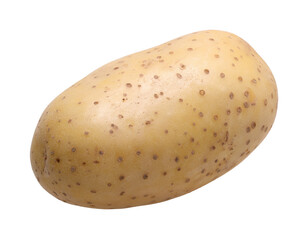Unpeeled raw potato isolated, transparent PNG,  single