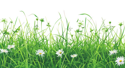 Obraz premium PNG Evergreen grass field and flower backgrounds grassland outdoors.