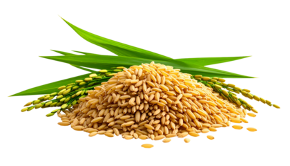 A pile of tan grains with vibrant green blades and delicate, seeded stalks on black