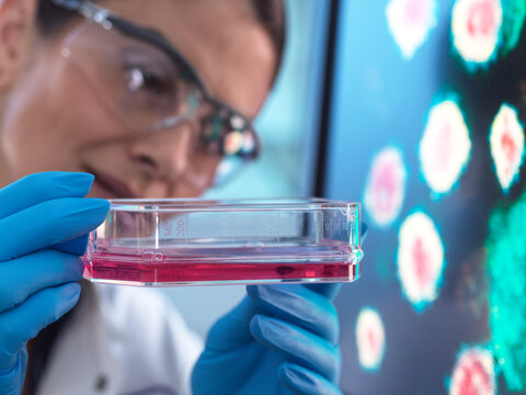 Scientist researching cell culture in laboratory for medical advancement