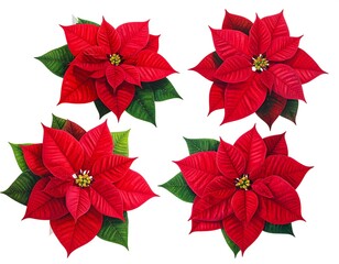 Four vibrant red poinsettias with deep green leaves on a clean white backdrop, capturing festive holiday blooms