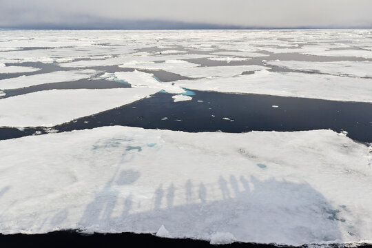 Drift ice and packed ice on Arctic Ocean near Svalbard and Spitsbergen