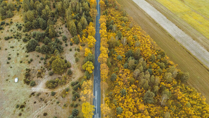 Drone view of car on quiet woodland road